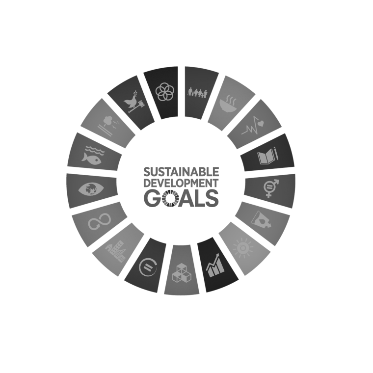 SDG SDG-logo-bw
