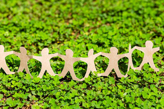 Grow your sustainability reporting