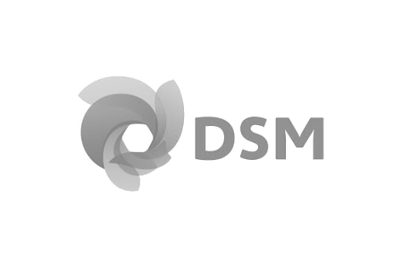 dsm-logo