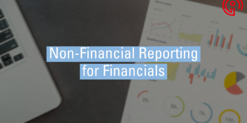 Non-financial Reporting for Financials
