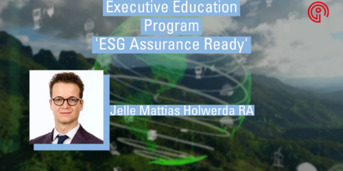 Executive Education Program: ‘ESG Audit Ready’