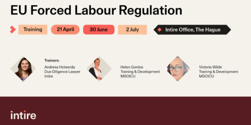 EU Forced Labour Regulation: The Law’s Requirement, the Investigator’s Lens