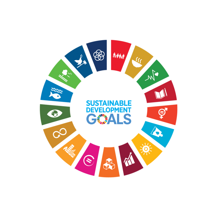 SDG-logo