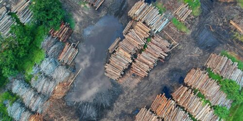 Deforestation regulation: EUDR
